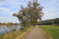 Rad-Wanderweg Ulm-Wien